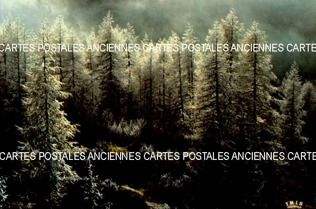 Cartes postales anciennes > CARTES POSTALES > carte postale ancienne > cartes-postales-ancienne.com Paysage