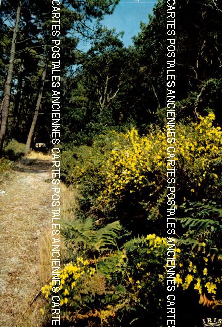 Cartes postales anciennes > CARTES POSTALES > carte postale ancienne > cartes-postales-ancienne.com Paysage