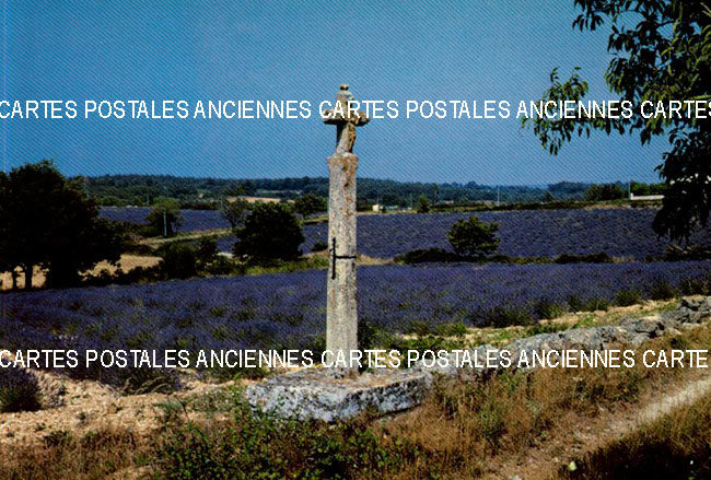 Cartes postales anciennes > CARTES POSTALES > carte postale ancienne > cartes-postales-ancienne.com Paysage