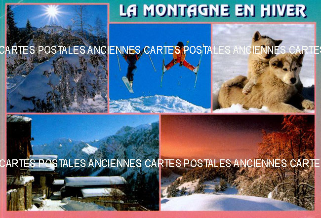 Cartes postales anciennes > CARTES POSTALES > carte postale ancienne > cartes-postales-ancienne.com Paysage