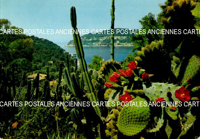 Cartes postales anciennes > CARTES POSTALES > carte postale ancienne > cartes-postales-ancienne.com Paysage