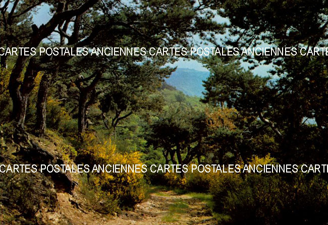 Cartes postales anciennes > CARTES POSTALES > carte postale ancienne > cartes-postales-ancienne.com Paysage