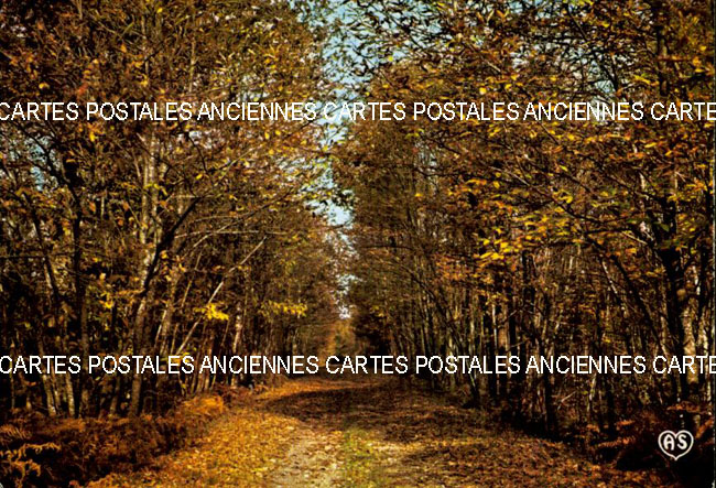 Cartes postales anciennes > CARTES POSTALES > carte postale ancienne > cartes-postales-ancienne.com Paysage