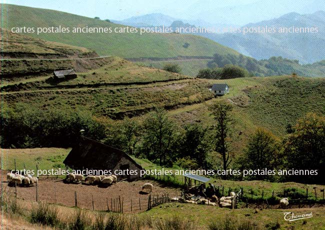 Cartes postales anciennes > CARTES POSTALES > carte postale ancienne > cartes-postales-ancienne.com Paysage