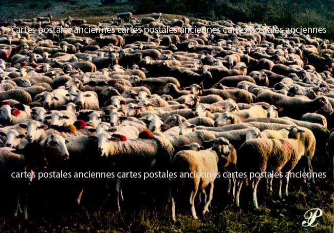 Cartes postales anciennes > CARTES POSTALES > carte postale ancienne > cartes-postales-ancienne.com Paysage