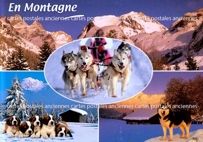 Cartes postales anciennes > CARTES POSTALES > carte postale ancienne > cartes-postales-ancienne.com Paysage