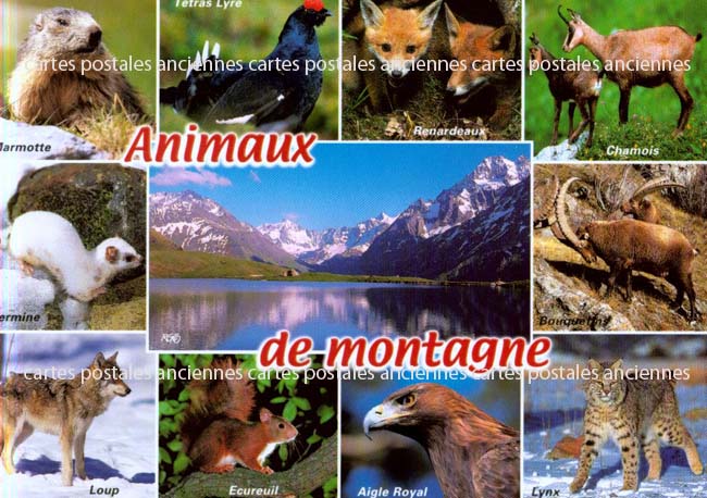 Cartes postales anciennes > CARTES POSTALES > carte postale ancienne > cartes-postales-ancienne.com Paysage