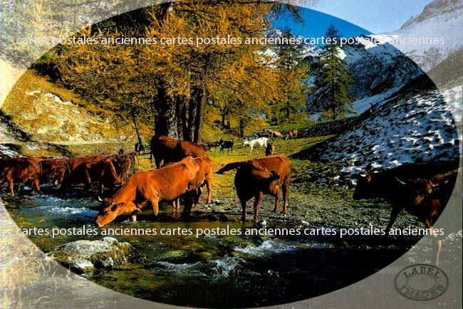 Cartes postales anciennes > CARTES POSTALES > carte postale ancienne > cartes-postales-ancienne.com Paysage