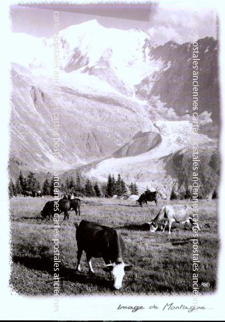 Cartes postales anciennes > CARTES POSTALES > carte postale ancienne > cartes-postales-ancienne.com Paysage