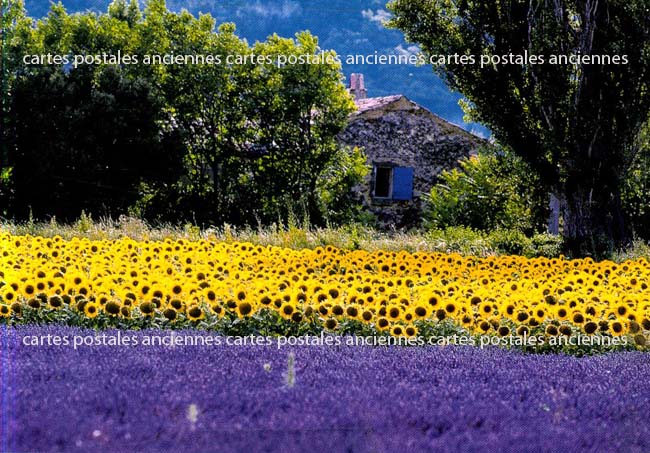 Cartes postales anciennes > CARTES POSTALES > carte postale ancienne > cartes-postales-ancienne.com Paysage
