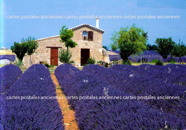 Cartes postales anciennes > CARTES POSTALES > carte postale ancienne > cartes-postales-ancienne.com Paysage