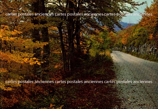 Cartes postales anciennes > CARTES POSTALES > carte postale ancienne > cartes-postales-ancienne.com Paysage