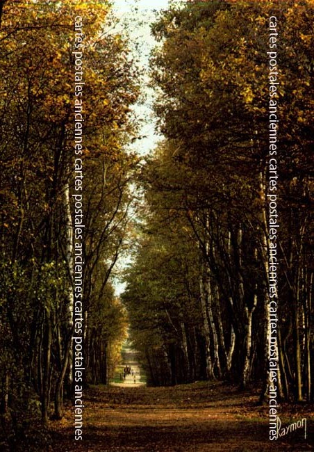 Cartes postales anciennes > CARTES POSTALES > carte postale ancienne > cartes-postales-ancienne.com Paysage
