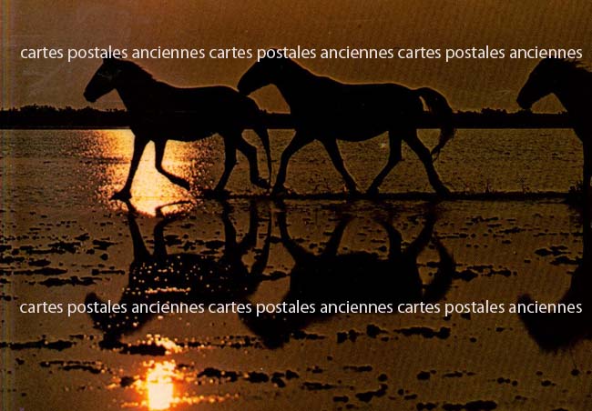 Cartes postales anciennes > CARTES POSTALES > carte postale ancienne > cartes-postales-ancienne.com Paysage