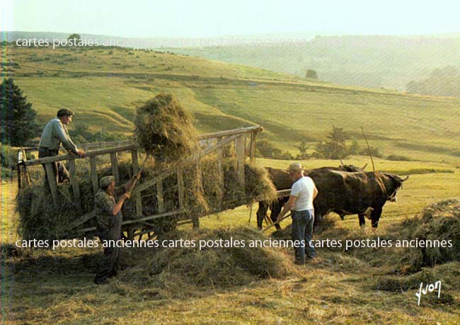 Cartes postales anciennes > CARTES POSTALES > carte postale ancienne > cartes-postales-ancienne.com Paysage