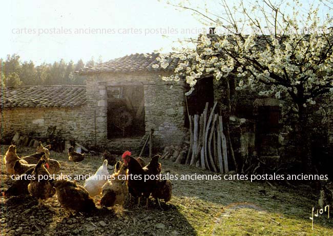Cartes postales anciennes > CARTES POSTALES > carte postale ancienne > cartes-postales-ancienne.com Paysage