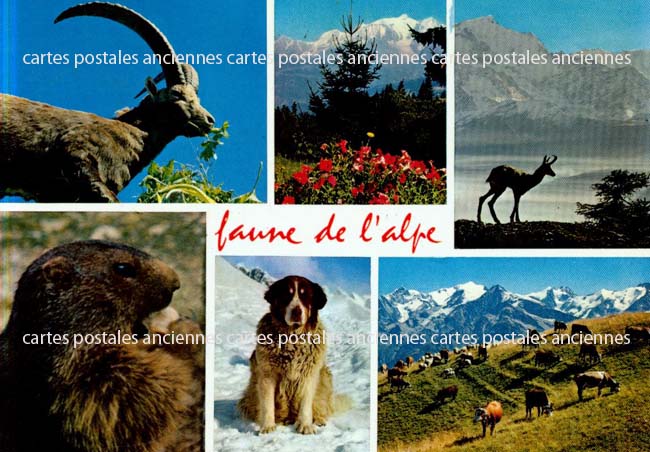 Cartes postales anciennes > CARTES POSTALES > carte postale ancienne > cartes-postales-ancienne.com Paysage