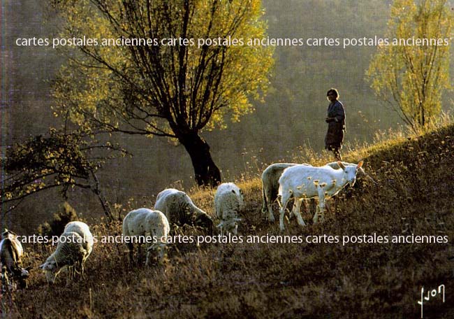 Cartes postales anciennes > CARTES POSTALES > carte postale ancienne > cartes-postales-ancienne.com Paysage
