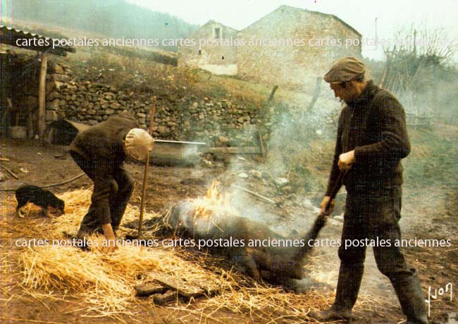 Cartes postales anciennes > CARTES POSTALES > carte postale ancienne > cartes-postales-ancienne.com Paysage
