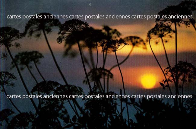 Cartes postales anciennes > CARTES POSTALES > carte postale ancienne > cartes-postales-ancienne.com Paysage
