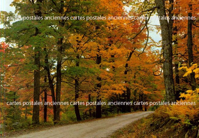 Cartes postales anciennes > CARTES POSTALES > carte postale ancienne > cartes-postales-ancienne.com Paysage