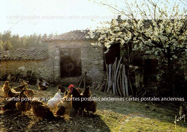 Cartes postales anciennes > CARTES POSTALES > carte postale ancienne > cartes-postales-ancienne.com Paysage