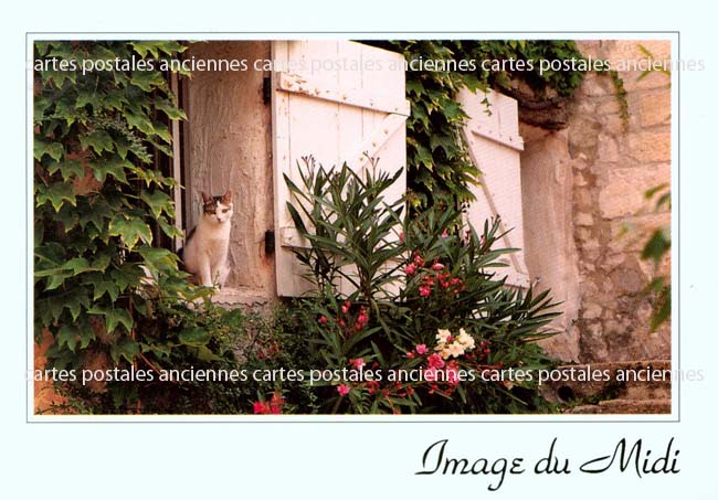 Cartes postales anciennes > CARTES POSTALES > carte postale ancienne > cartes-postales-ancienne.com Paysage