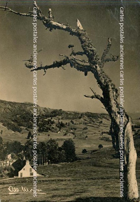 Cartes postales anciennes > CARTES POSTALES > carte postale ancienne > cartes-postales-ancienne.com Paysage