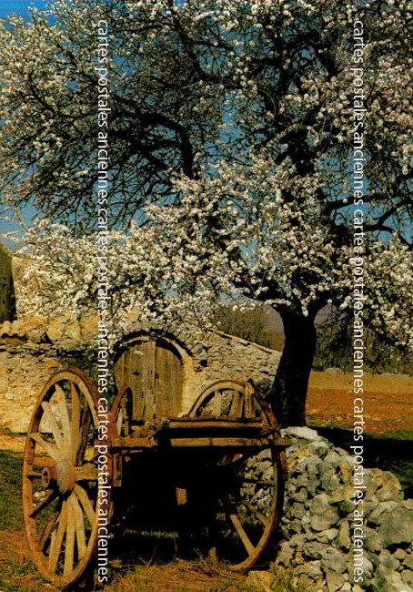 Cartes postales anciennes > CARTES POSTALES > carte postale ancienne > cartes-postales-ancienne.com Paysage