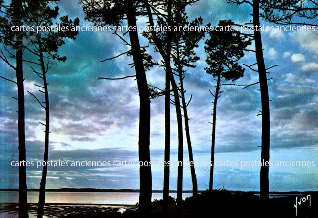 Cartes postales anciennes > CARTES POSTALES > carte postale ancienne > cartes-postales-ancienne.com Paysage