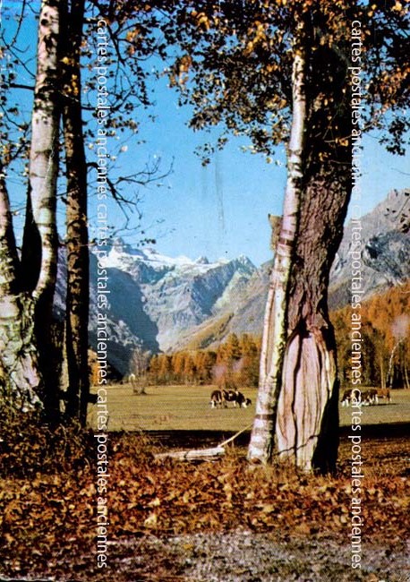 Cartes postales anciennes > CARTES POSTALES > carte postale ancienne > cartes-postales-ancienne.com Paysage