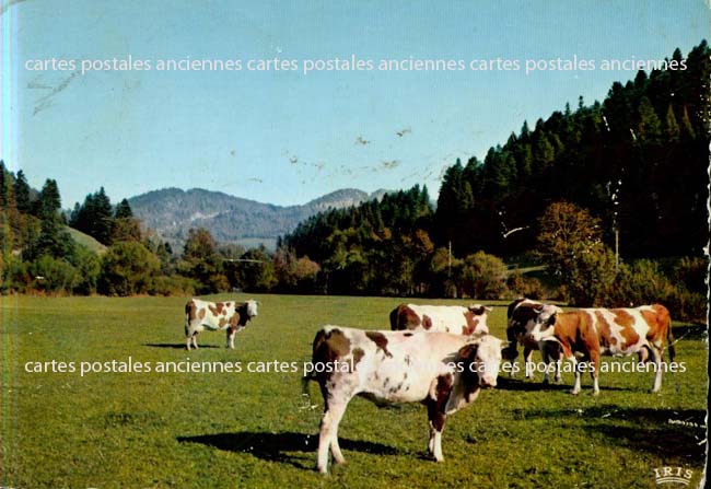 Cartes postales anciennes > CARTES POSTALES > carte postale ancienne > cartes-postales-ancienne.com Paysage