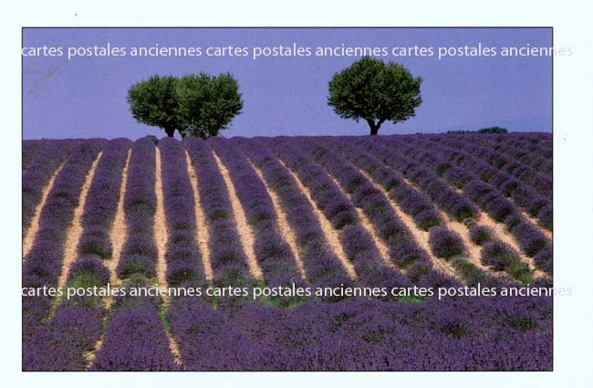 Cartes postales anciennes > CARTES POSTALES > carte postale ancienne > cartes-postales-ancienne.com Paysage