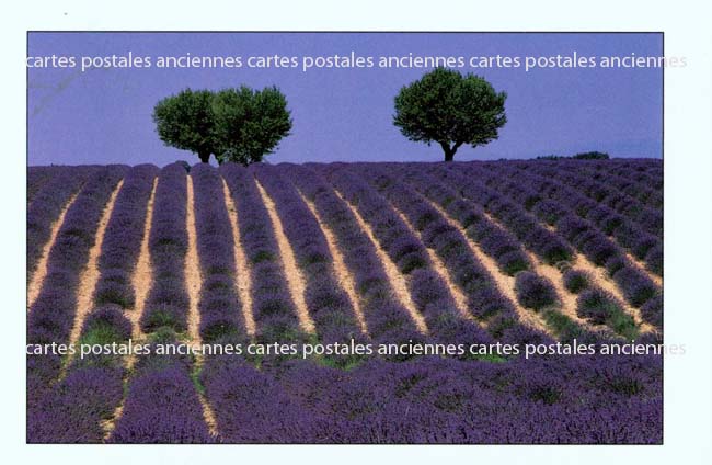 Cartes postales anciennes > CARTES POSTALES > carte postale ancienne > cartes-postales-ancienne.com Paysage