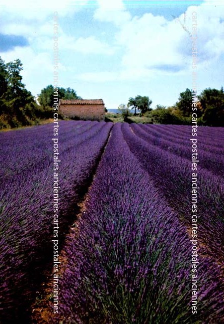 Cartes postales anciennes > CARTES POSTALES > carte postale ancienne > cartes-postales-ancienne.com Paysage
