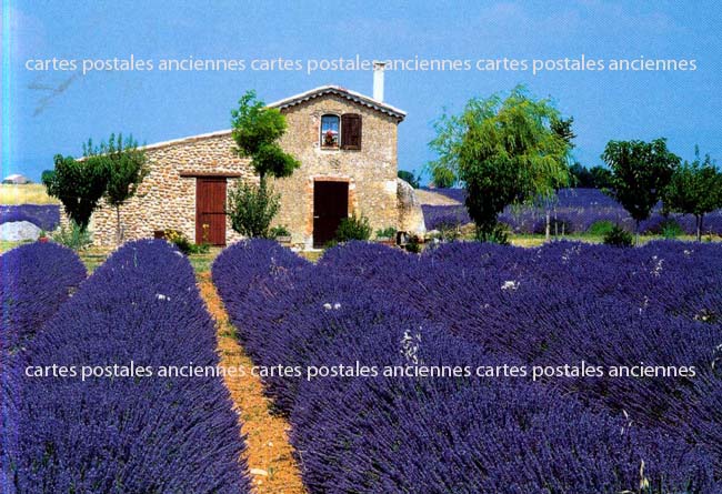 Cartes postales anciennes > CARTES POSTALES > carte postale ancienne > cartes-postales-ancienne.com Paysage