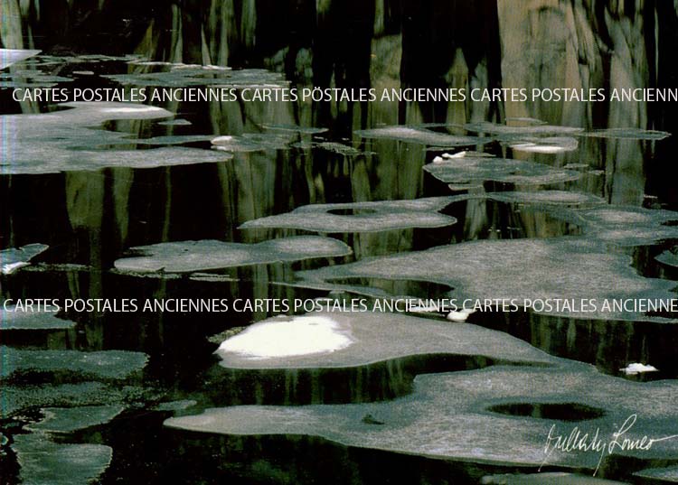 Cartes postales anciennes > CARTES POSTALES > carte postale ancienne > cartes-postales-ancienne.com Paysage