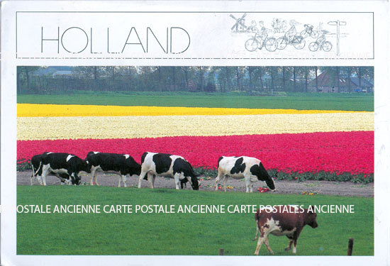 Cartes postales anciennes > CARTES POSTALES > carte postale ancienne > cartes-postales-ancienne.com Pays Pays bas