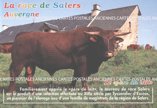 Cartes postales anciennes > CARTES POSTALES > carte postale ancienne > cartes-postales-ancienne.com Cartes postales anciennes publicitaire