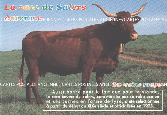 Cartes postales anciennes > CARTES POSTALES > carte postale ancienne > cartes-postales-ancienne.com Cartes postales anciennes publicitaire