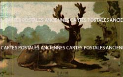 Cartes postales anciennes > CARTES POSTALES > carte postale ancienne > cartes-postales-ancienne.com Cartes postales anciennes publicitaire