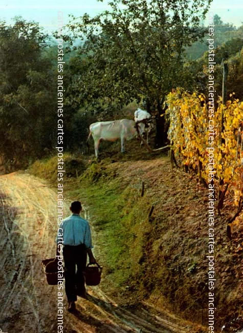 Cartes postales anciennes > CARTES POSTALES > carte postale ancienne > cartes-postales-ancienne.com Cartes postales anciennes publicitaire