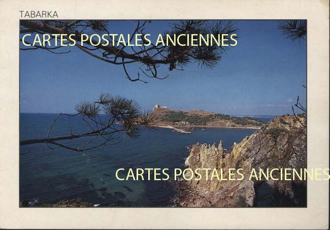 Cartes postales anciennes > CARTES POSTALES > carte postale ancienne > cartes-postales-ancienne.com Turquie