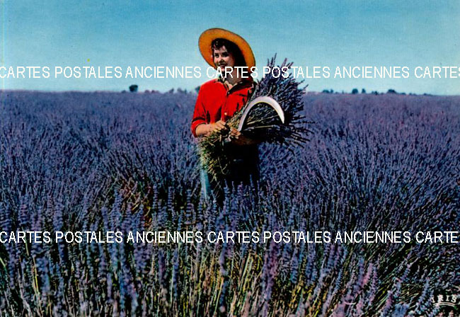Cartes postales anciennes > CARTES POSTALES > carte postale ancienne > cartes-postales-ancienne.com Pays
