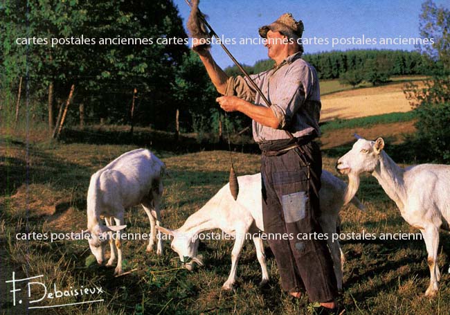 Profession