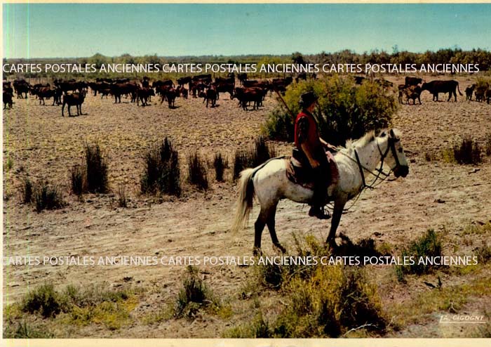 Cartes postales anciennes > CARTES POSTALES > carte postale ancienne > cartes-postales-ancienne.com Pays Provencale Arles
