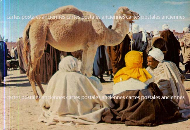 Cartes postales anciennes > CARTES POSTALES > carte postale ancienne > cartes-postales-ancienne.com Tunisie