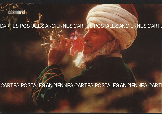 Cartes postales anciennes > CARTES POSTALES > carte postale ancienne > cartes-postales-ancienne.com Turquie