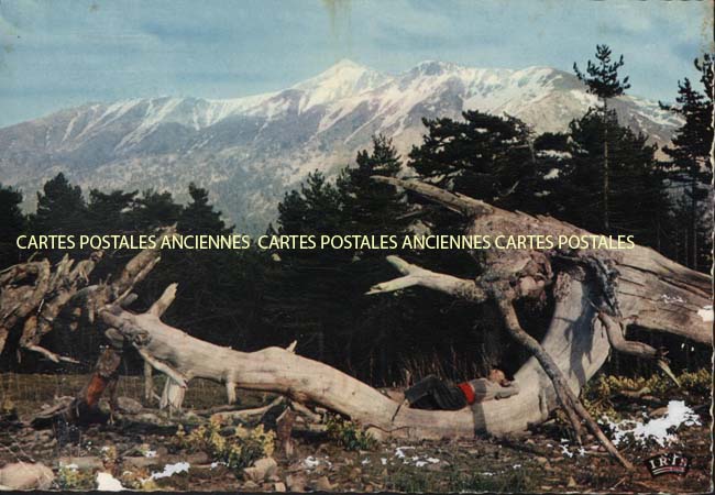 Cartes postales anciennes > CARTES POSTALES > carte postale ancienne > cartes-postales-ancienne.com Corse  Corse du sud 2a Vico