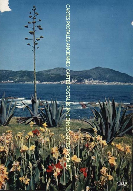 Cartes postales anciennes > CARTES POSTALES > carte postale ancienne > cartes-postales-ancienne.com Corse  Corse du sud 2a Porticcio